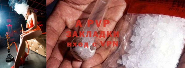 дживик Новозыбков